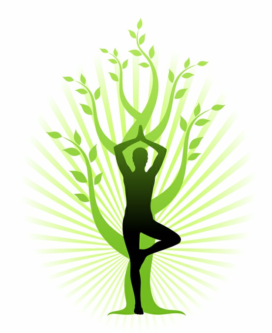 Lessons from a Tree  Harmony Yoga Redondo Hermosa Manhattan Beach